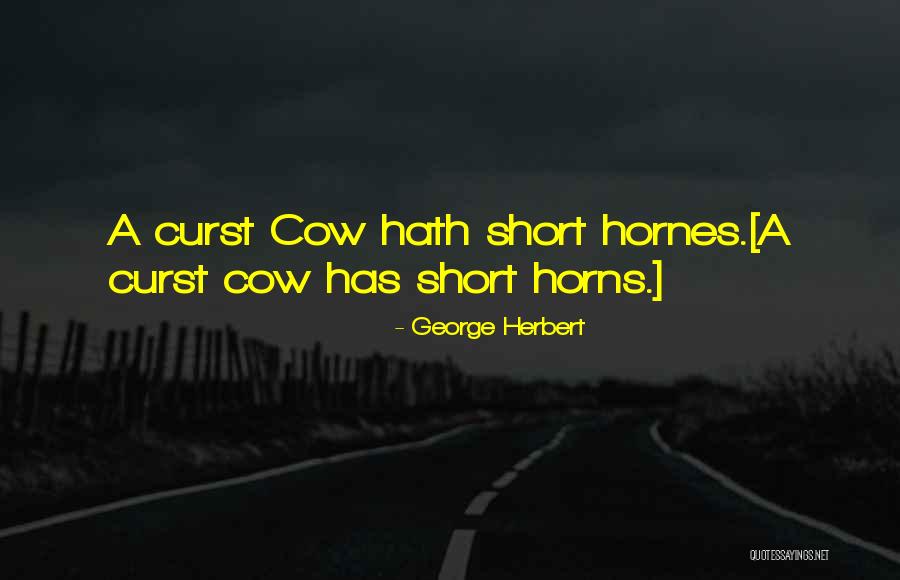Squibs Cbd Quotes By George Herbert Squibs Cbd Quotes By George Herbert