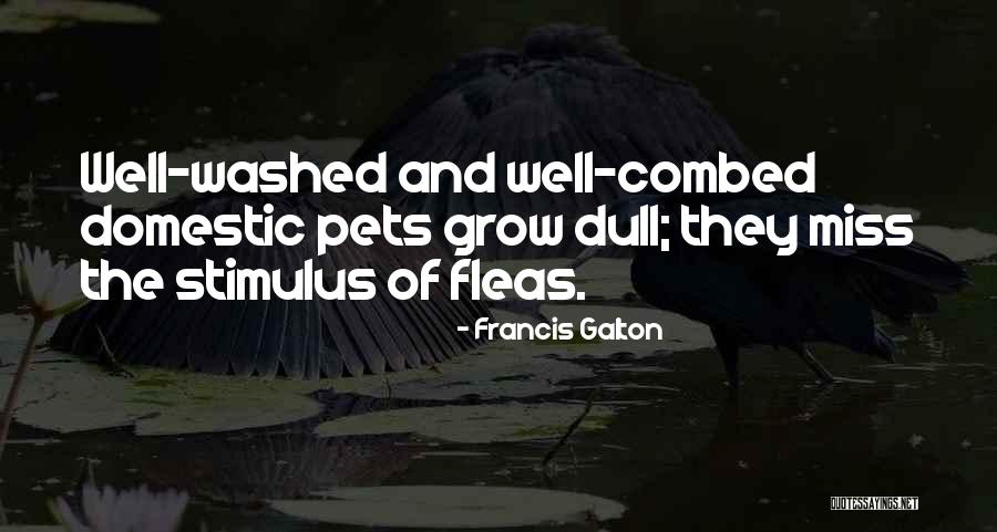 Squiggles Markers Quotes By Francis Galton