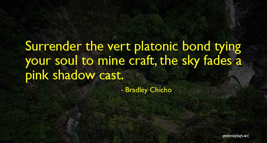 Squint Book Quotes By Bradley Chicho Squint Book Quotes By Bradley Chicho