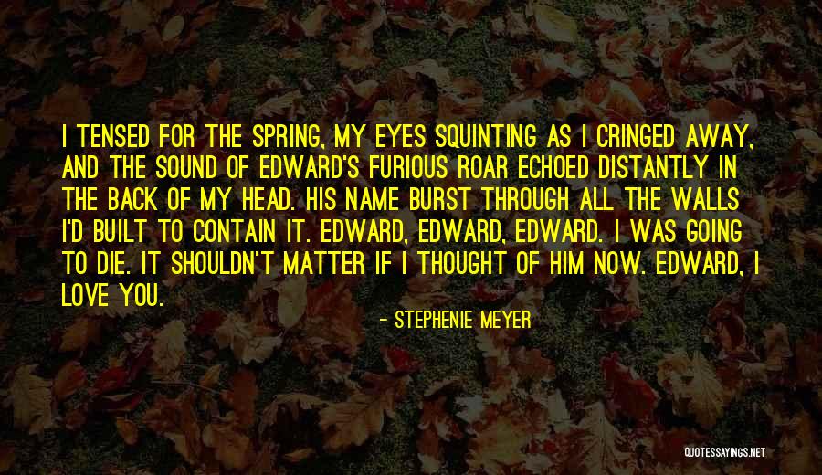 Squinting Eyes Quotes By Stephenie Meyer