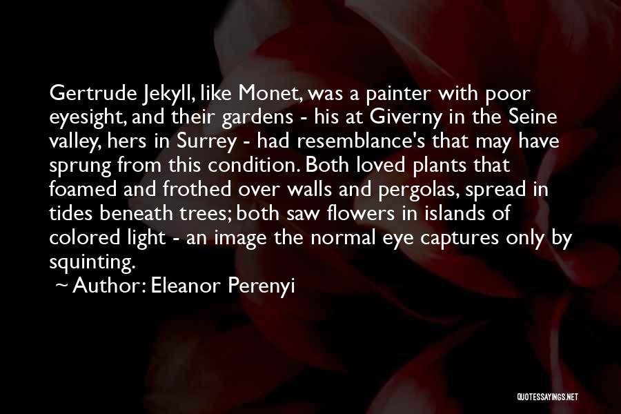 Squinting Quotes By Eleanor Perenyi