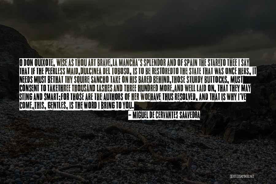 Squire Quotes By Miguel De Cervantes Saavedra Squire Quotes By Miguel De Cervantes Saavedra