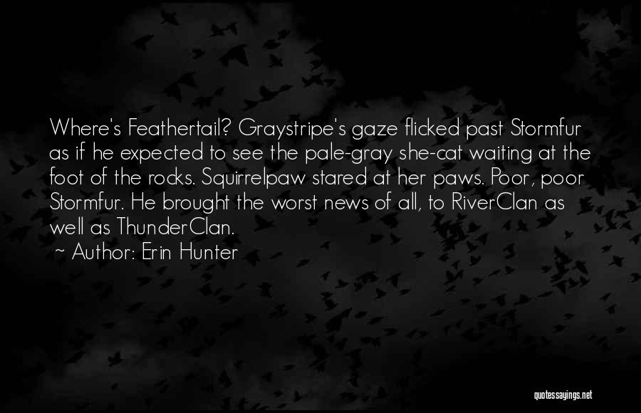 Squirrelpaw Quotes By Erin Hunter