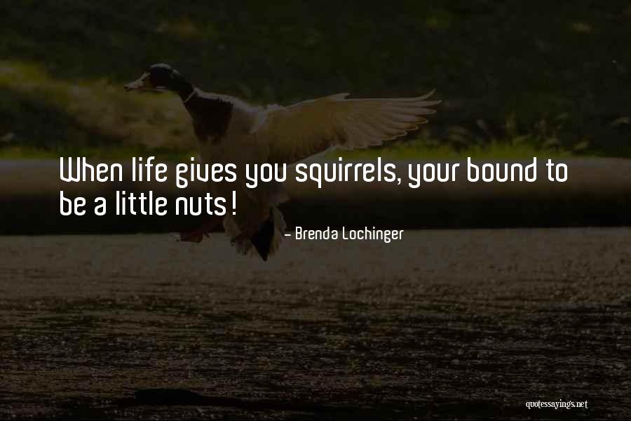 Squirrels And Life Quotes By Brenda Lochinger