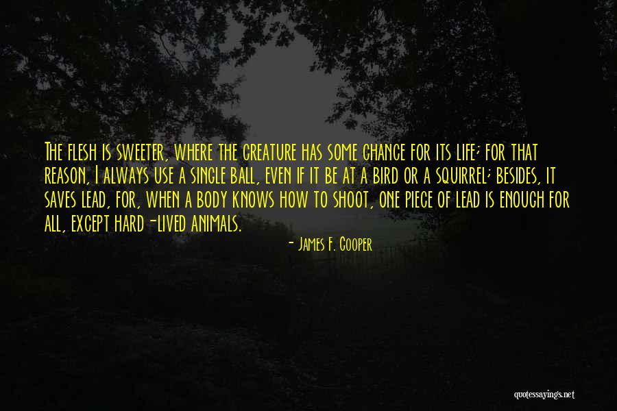 Squirrels And Life Quotes By James F. Cooper Squirrels And Life Quotes By James F. Cooper