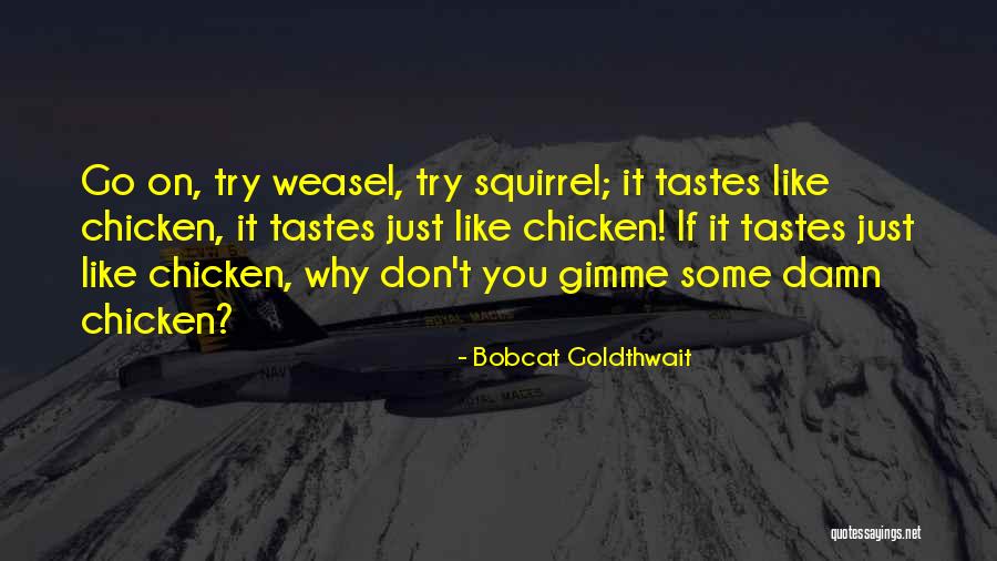 Squirrels Funny Quotes By Bobcat Goldthwait Squirrels Funny Quotes By Bobcat Goldthwait