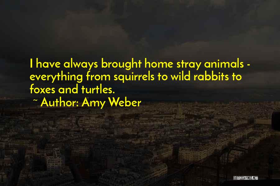 Squirrels Quotes By Amy Weber