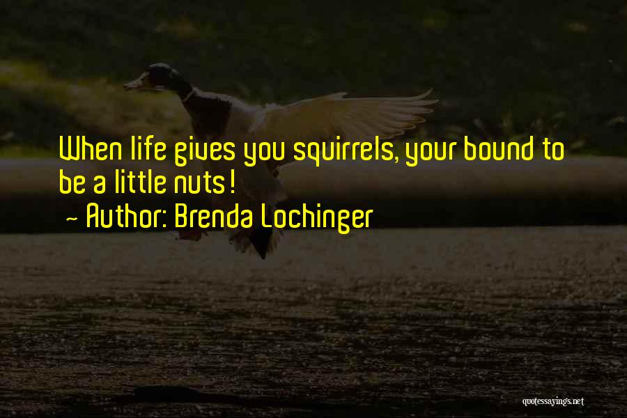 Squirrels Quotes By Brenda Lochinger