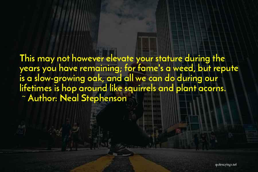 Squirrels Quotes By Neal Stephenson