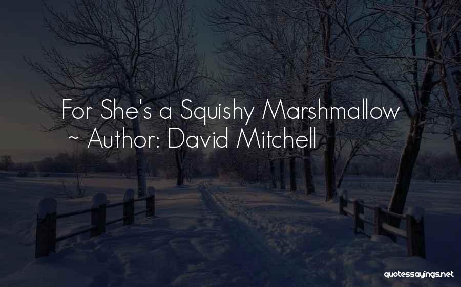 Squishy Quotes By David Mitchell