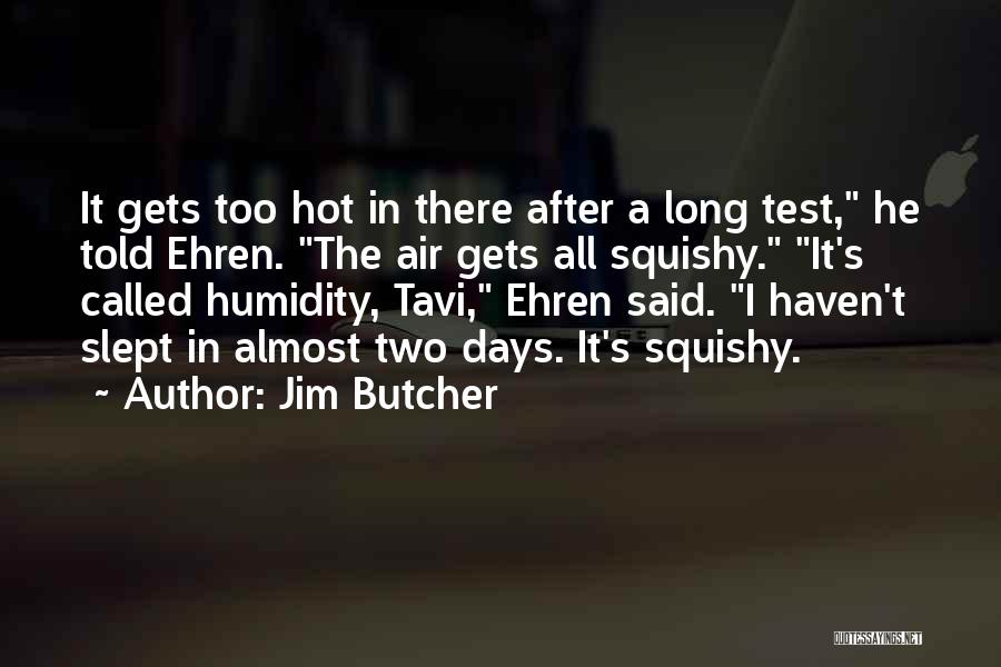 Squishy Quotes By Jim Butcher