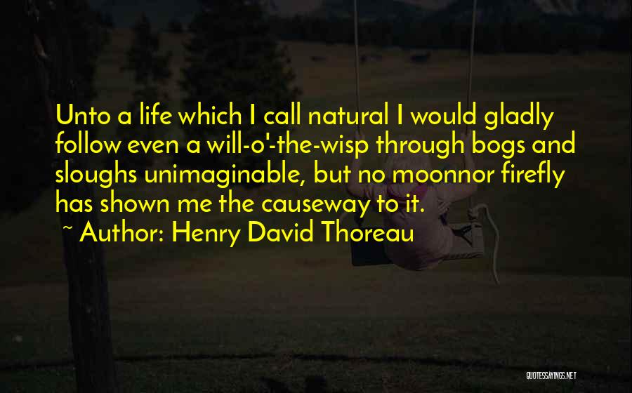 Squitieri And Fearon Quotes By Henry David Thoreau