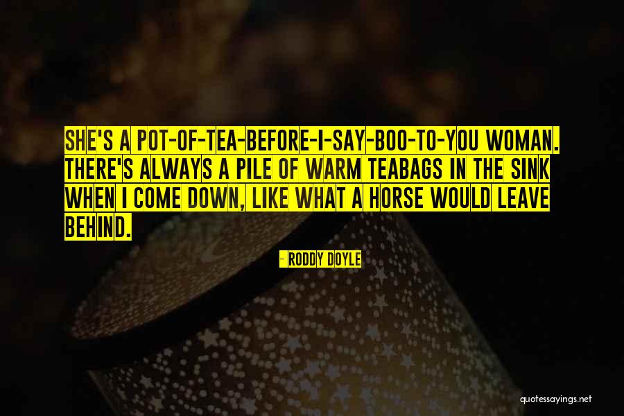 Srce Quotes By Roddy Doyle Srce Quotes By Roddy Doyle