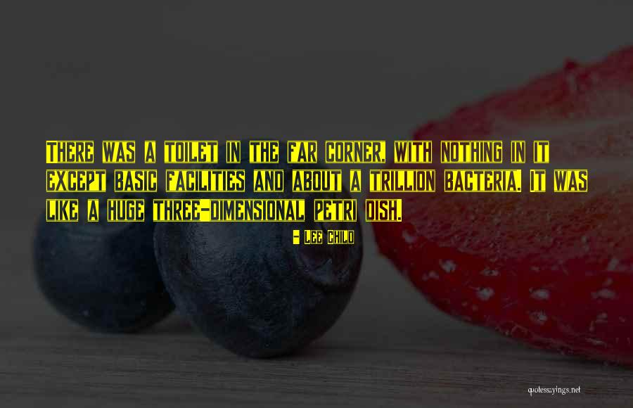 Srebrenica Flower Quotes By Lee Child Srebrenica Flower Quotes By Lee Child
