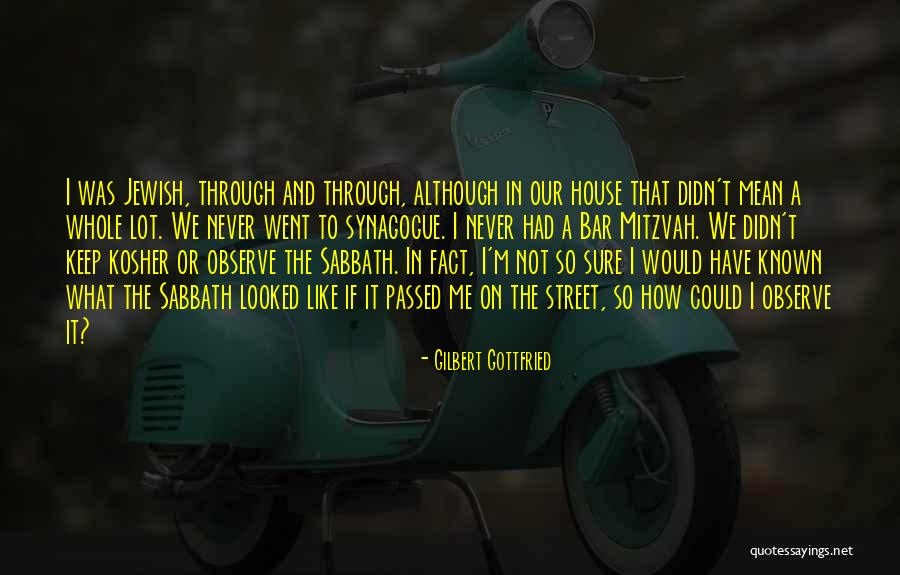 Srecko Timit Quotes By Gilbert Gottfried Srecko Timit Quotes By Gilbert Gottfried