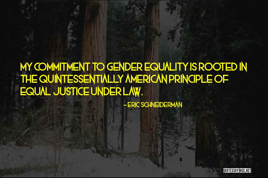 Sreeja Chandran Quotes By Eric Schneiderman Sreeja Chandran Quotes By Eric Schneiderman