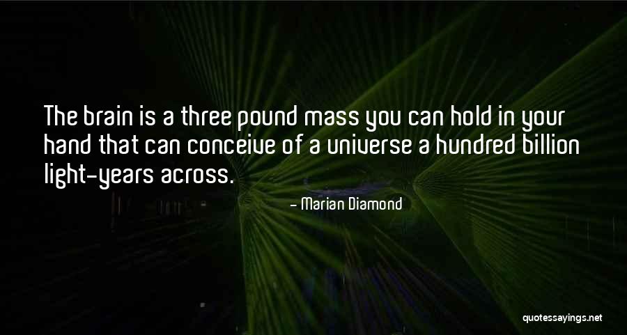 Sretnu Novu Quotes By Marian Diamond Sretnu Novu Quotes By Marian Diamond
