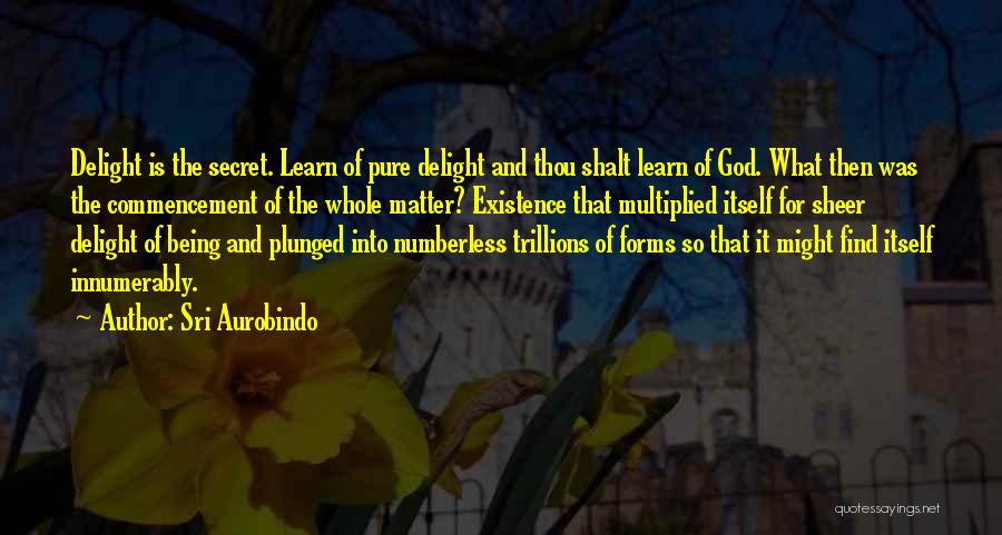 Sri Aurobindo Quotes 1013416