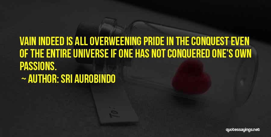 Sri Aurobindo Quotes 1070614