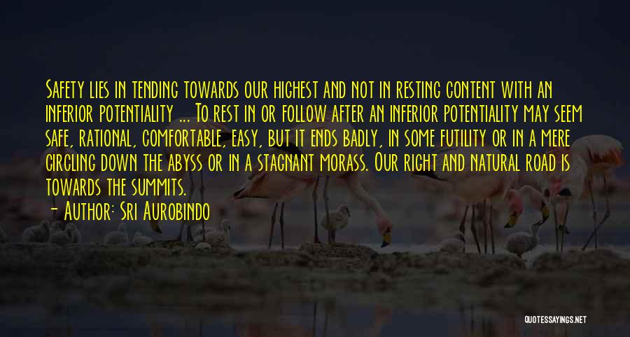 Sri Aurobindo Quotes 1077834