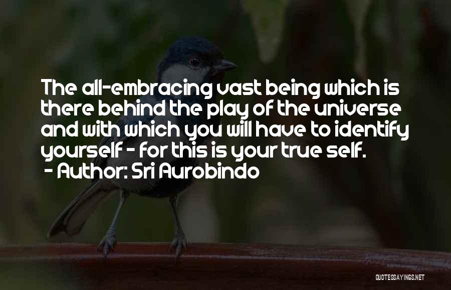 Sri Aurobindo Quotes 1103579