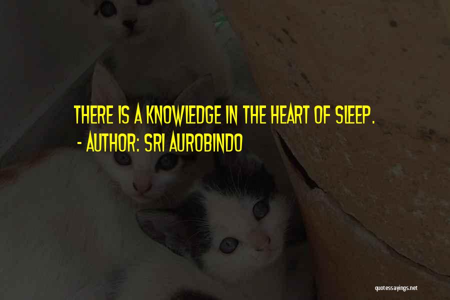 Sri Aurobindo Quotes 1663616