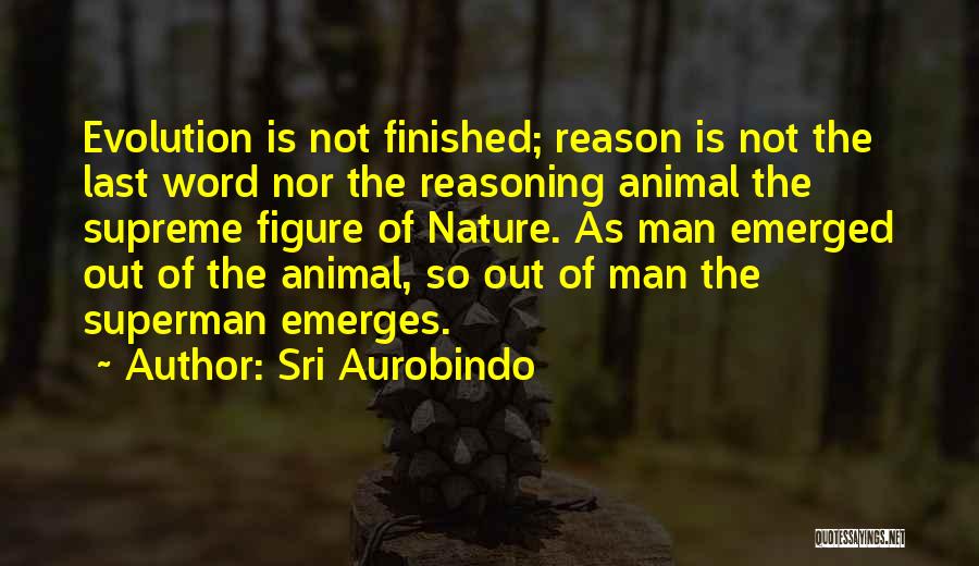 Sri Aurobindo Quotes 1795428