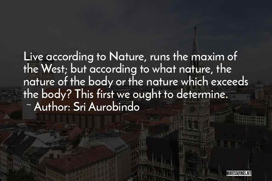 Sri Aurobindo Quotes 386947