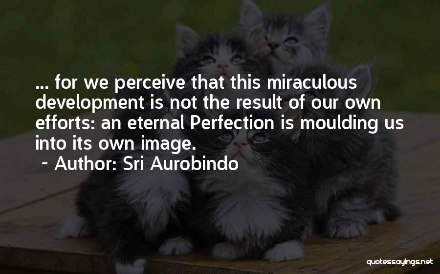 Sri Aurobindo Quotes 504007