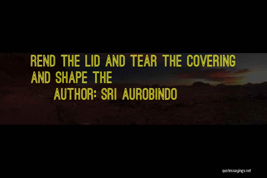Sri Aurobindo Quotes 874014
