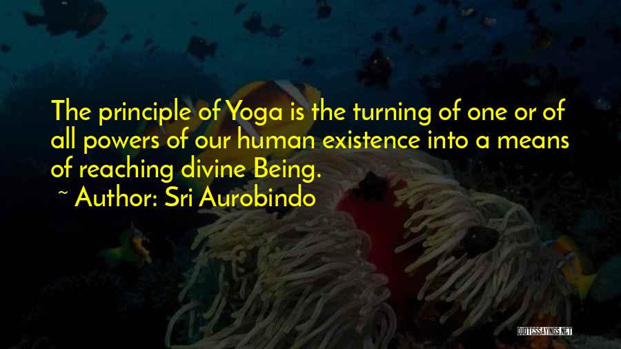 Sri Aurobindo Quotes 947934