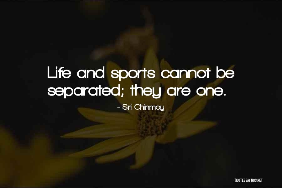 Sri Chinmoy Quotes 1329646