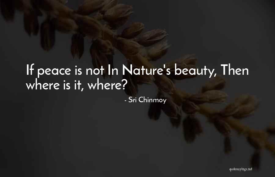 Sri Chinmoy Quotes 1621546