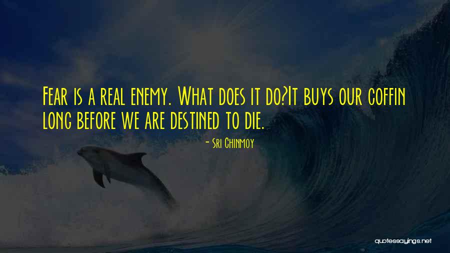 Sri Chinmoy Quotes 1822795 Sri Chinmoy Quotes 1822795