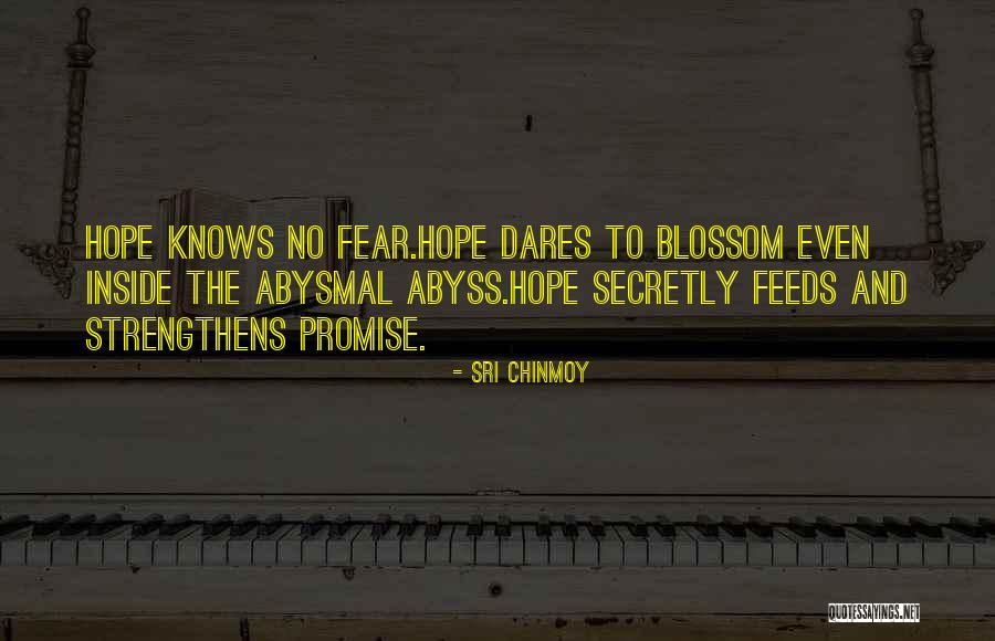 Sri Chinmoy Quotes 445569 Sri Chinmoy Quotes 445569