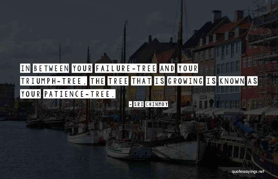 Sri Chinmoy Quotes 798316 Sri Chinmoy Quotes 798316