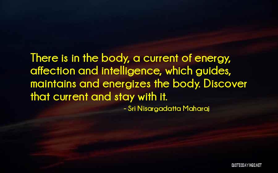 Sri Nisargadatta Maharaj Quotes 1150516