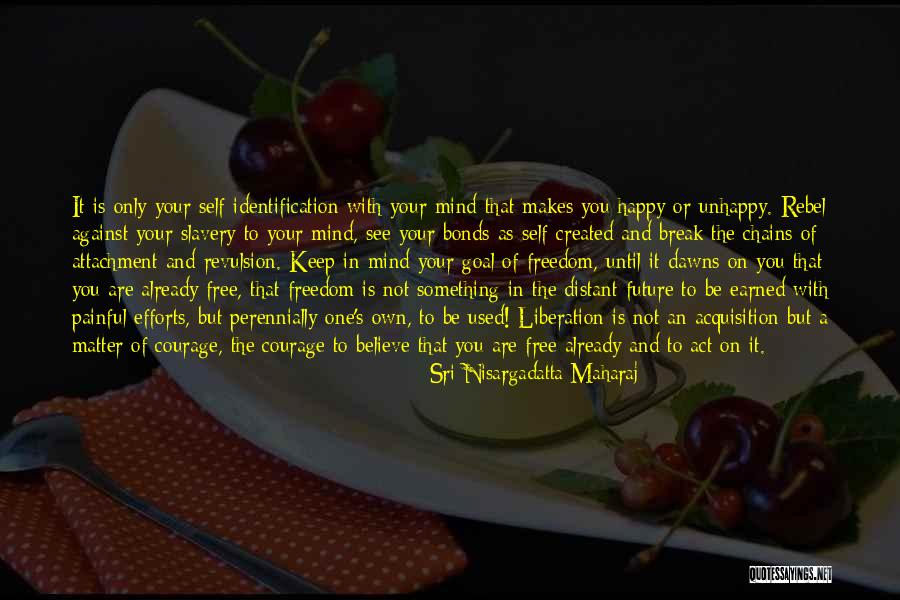 Sri Nisargadatta Maharaj Quotes 2007122