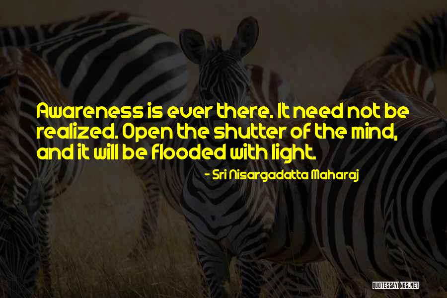 Sri Nisargadatta Maharaj Quotes 2209894