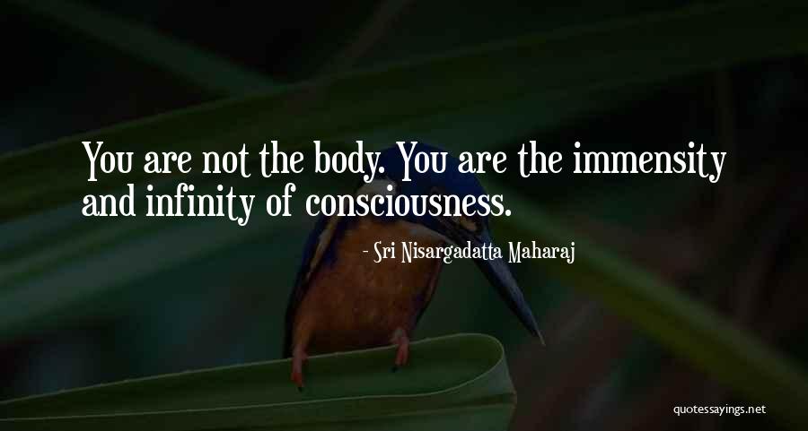 Sri Nisargadatta Maharaj Quotes 87181