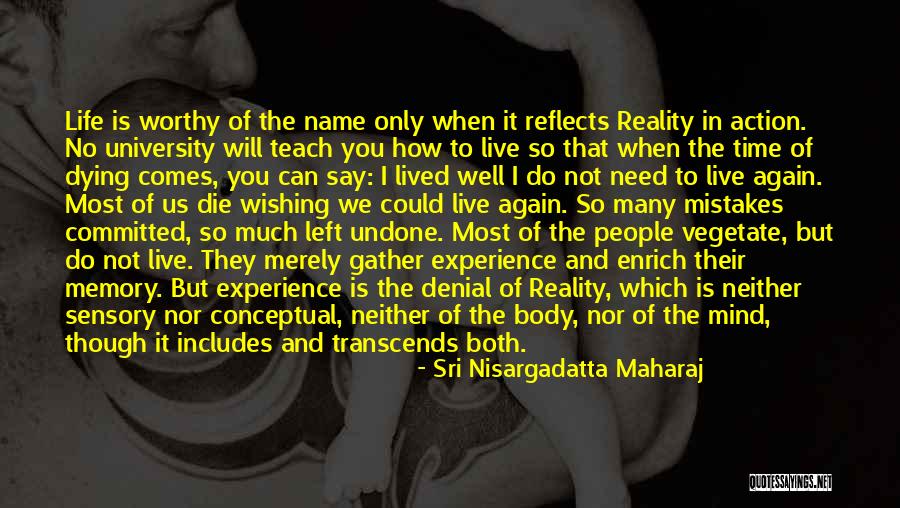 Sri Nisargadatta Maharaj Quotes 926388