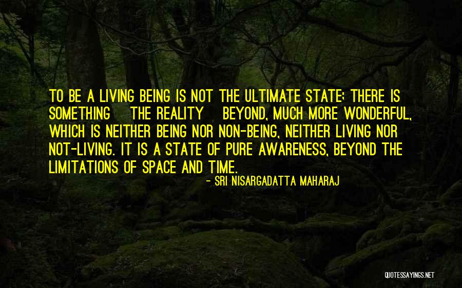 Sri Nisargadatta Maharaj Quotes 959702