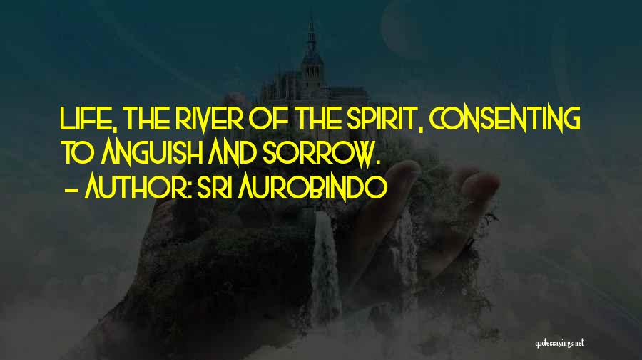 Sri Sri Quotes By Sri Aurobindo