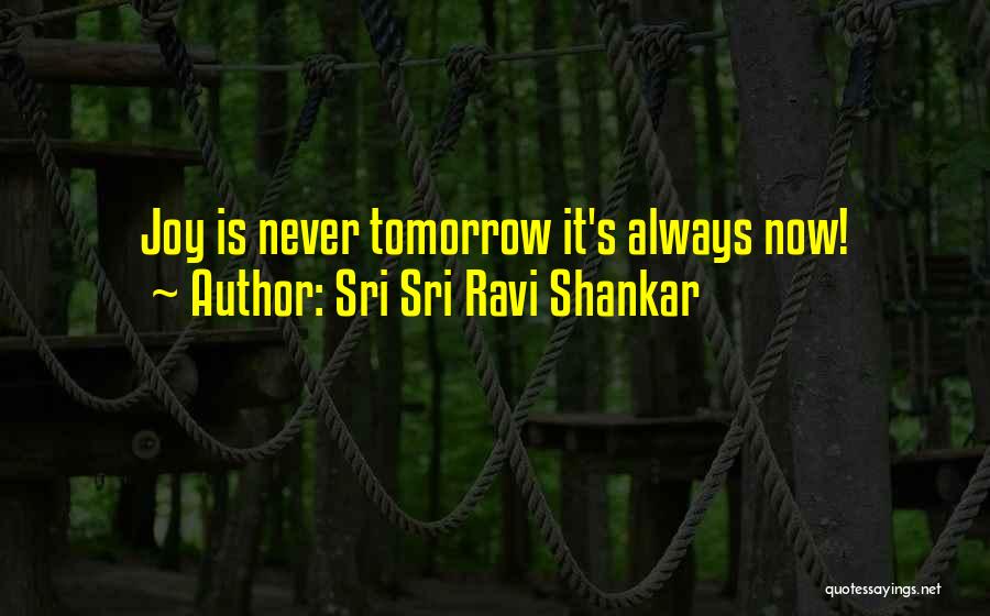Sri Sri Ravi Shankar Quotes 1505146