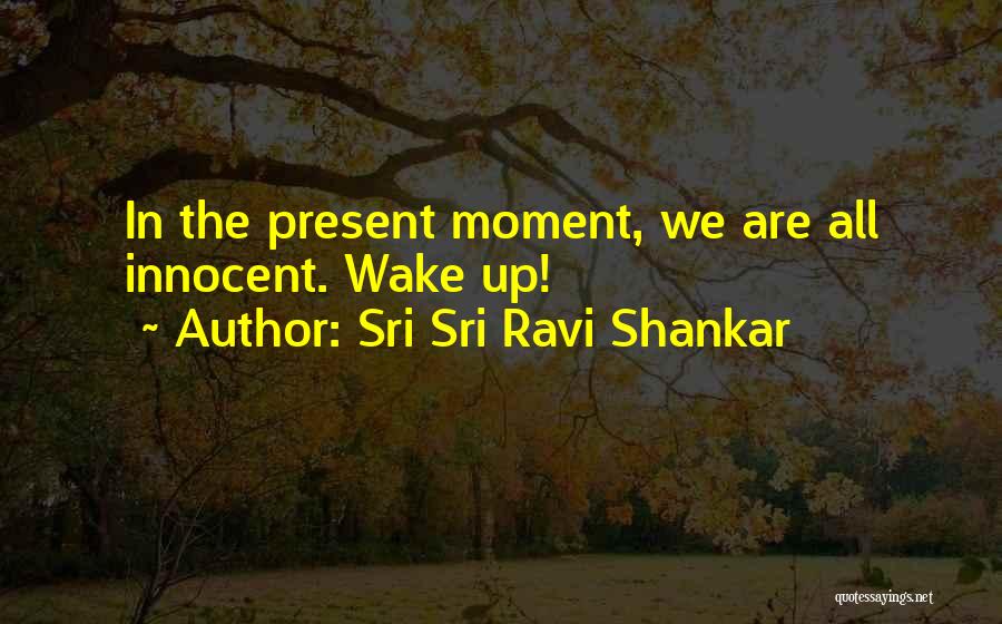 Sri Sri Ravi Shankar Quotes 941926
