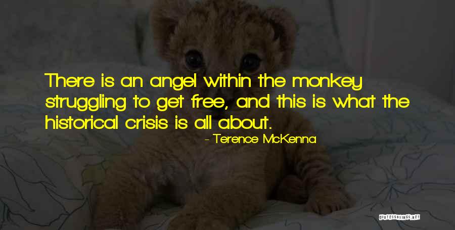 Srijaya Quotes By Terence McKenna Srijaya Quotes By Terence McKenna