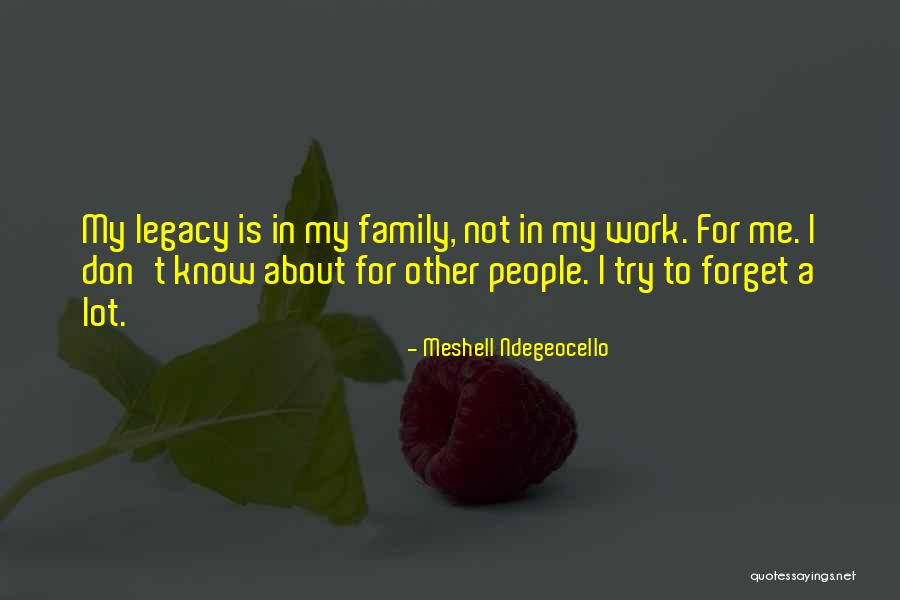 Sripathy Bhat Quotes By Meshell Ndegeocello Sripathy Bhat Quotes By Meshell Ndegeocello