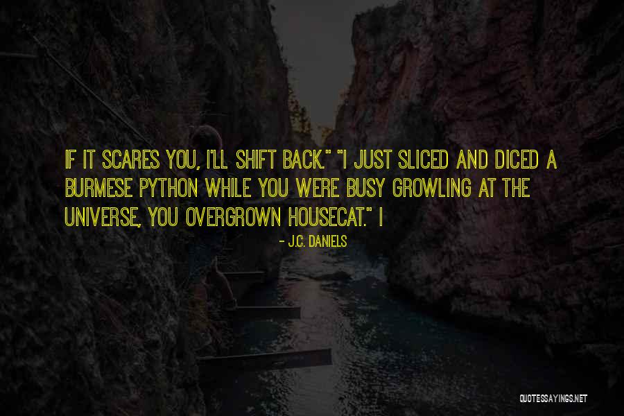 Srishti Gupta Quotes By J.C. Daniels Srishti Gupta Quotes By J.C. Daniels