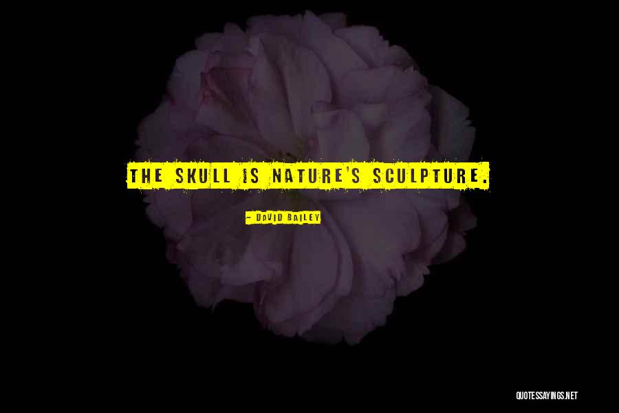 Sronyx Quotes By David Bailey Sronyx Quotes By David Bailey