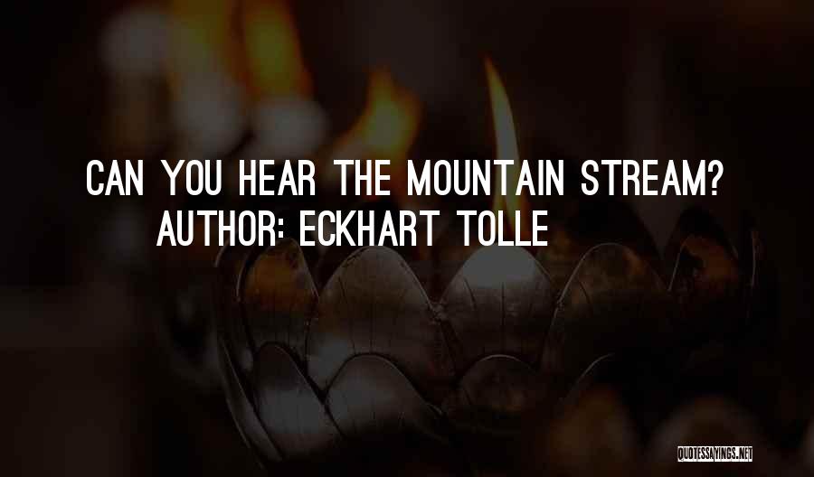 Srserver Quotes By Eckhart Tolle